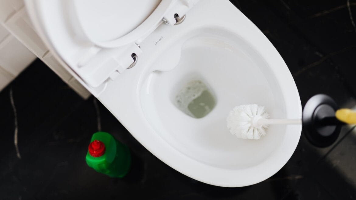 Toilet Cleaning