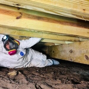 mold-solutions-clearwater-9